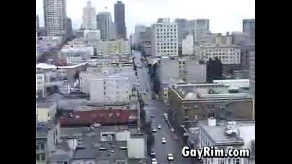 Three Horny And Hairy Bears