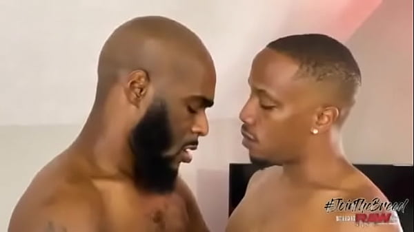 Taming The Black Snake: Venom & J Kreams