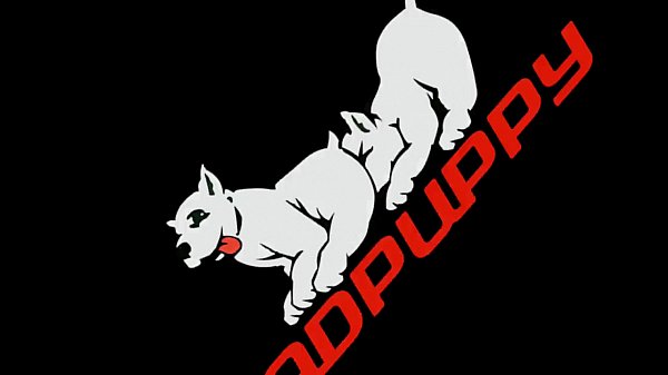 Furry Aarin wants a pounding from Big Dick Kayden