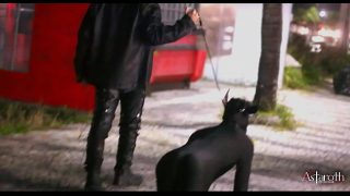Master takes his dog for a walk in the city. Afterwards in his cage the dog sucks cock and is fucked good by his owner. P1