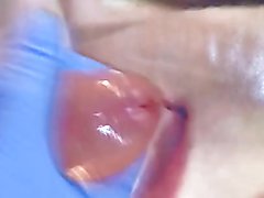 Tribute no.2 for federicaln