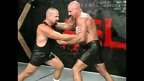 Bears wrestle and have sex