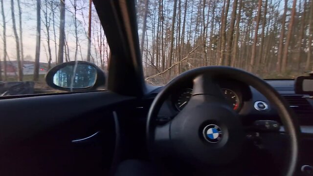 Exploring a forest parking lot