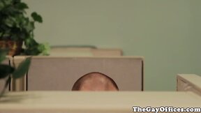 Gay office hunk drilled until they cum