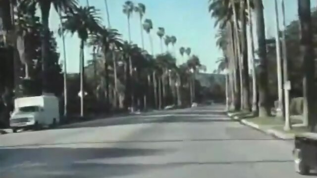 Peter North receives gay fuck