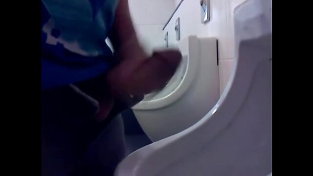 public bathroom collection 6