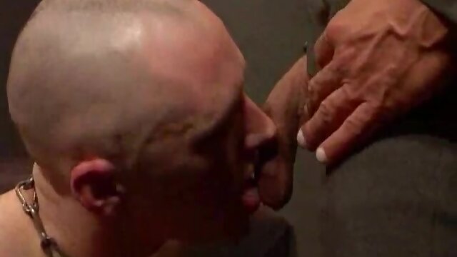 Horny daddy wants a BJ