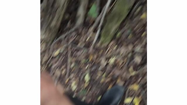 Exploring the forest and discovering a sweet treat