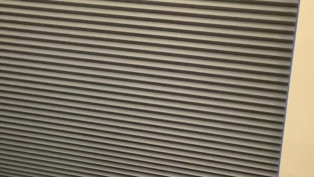 Muscular dog masturbates his uncut testicles